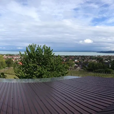 Balaton View 펜션 *