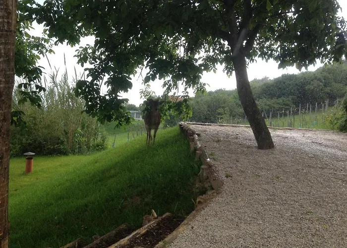 Balaton View Balatonfured