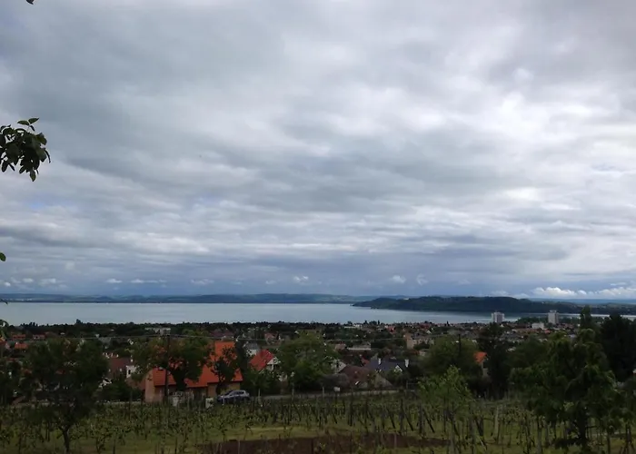 Balaton View Tatil Evi *